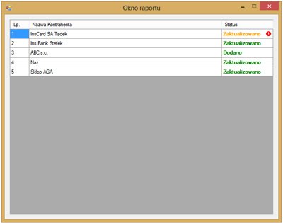 okno raportu programu Rewizor GT Import XLS